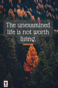 Plato life unexamined