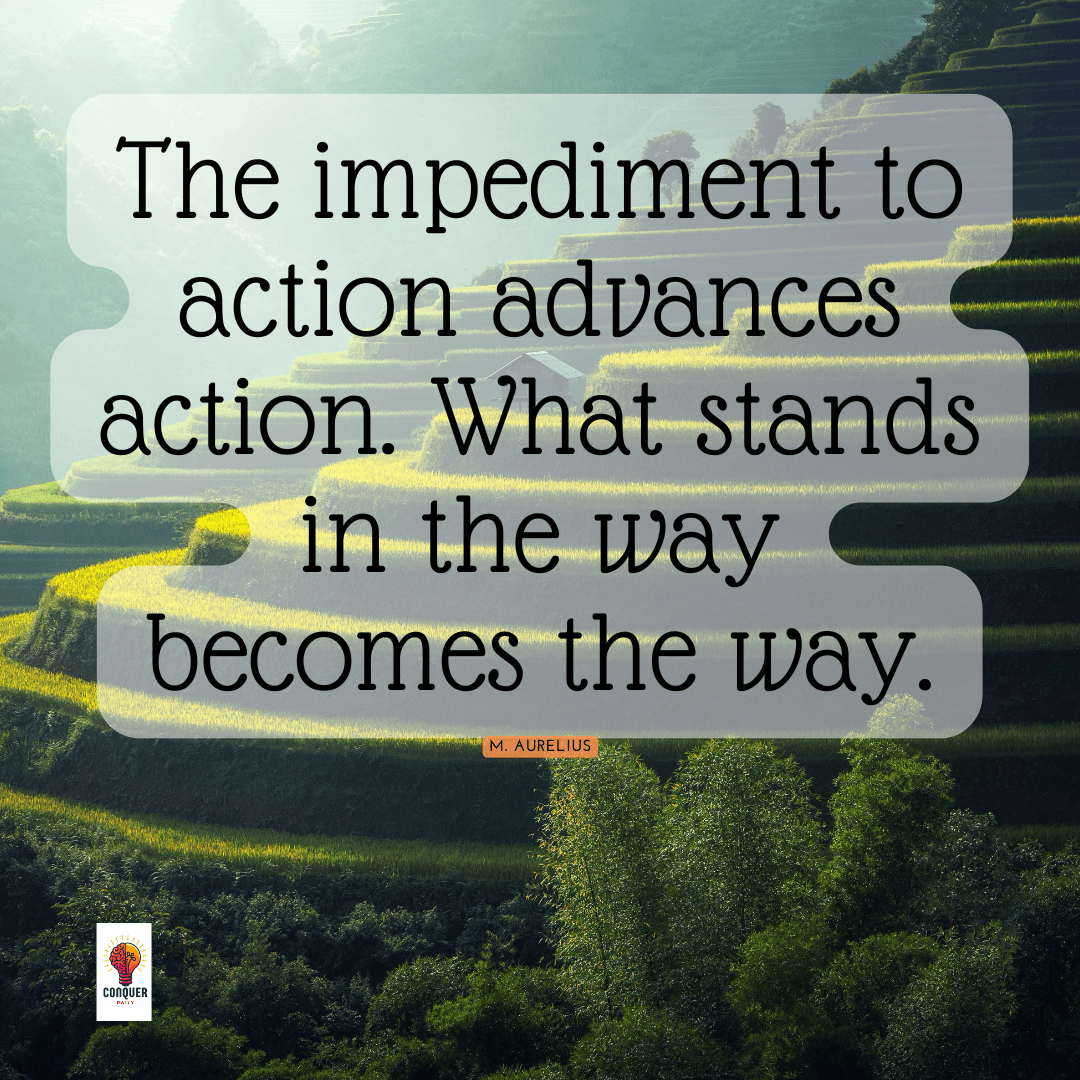 quote by M. Aurelius: What stands in the way becomes the way